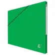 10 Mappen - Alpina - Glanzende kaart - groen - Oxford