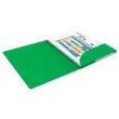 10 Mappen - Alpina - Glanzende kaart - groen - Oxford