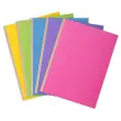 10 Mappen met linnen rug - 24 x 32 cm - EXACOMPTA