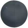 Ergonomische zitbal - Ø 65 cm