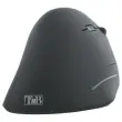 Draadloze verticale ergonomische muis ERGO LINE - Rechtshandig - T'NB