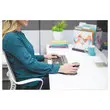 Ergonomische draadloze muis penguin klein model 