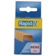 5000 Nietjes RAPID Bébé Ecureuil