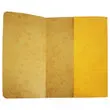 10  Gekleurde kaartmappen met glanzende afwerking en een flap van 250 g 