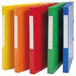 Klasseerdoos karton  - Rug 2,5 cm - rood - ACCESS 