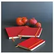 Genaaid schrift Rhodiarama A6 140 pagina's - zachte kaft - rood - RHODIA