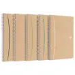 Spiraalschrift A4 Touareg - 5x5 - 100 pagina's - OXFORD