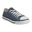 Paar  Veiligheidsschoenen BLUES LOW S1P 
