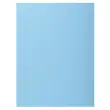 100  Hemdjes 1 flap 160 g kaart van hoge kwaliteit PEFC - pastelkleuren 