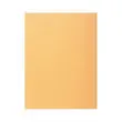 100 Hemdjes 1 flap 160 g kaart van hoge kwaliteit PEFC - pastelkleuren