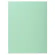 100 Hemdjes 1 flap 160 g kwaliteitskaart PEFC - pastelkleuren