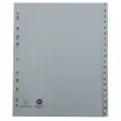 Geprinte digitale PP grijze gerecycleerde scheidingsbladen - 10 posities 