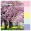016 Gerecycleerde memoblaadjes Collectie Natuur, 76 x 127 mm