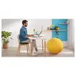 Ergonomisch zitkussen Ergo Cosy - Grijs - LEITZ
