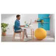 Ergonomisch zitkussen Ergo Cosy - Grijs - LEITZ