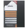 Kartonnen omslag schrift 160 pagina's A4+5x5. Zwart