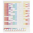 Jaarplanner 13 kolommen - Wit - NOBO