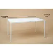 Rechthoekige tafel 140x90 cm MAHAUT decoreert FLOREAL gerecycled