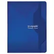 Gehechtd schrift Calligraphe 70g, 17x22 cm, 5x5, 96 pagina's