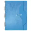 Spiraalschrift - 70g - 17x22cm - Seyes, 100 pagina's - CALLIGRAPHE 
