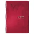 Spiraalschrift - 70g - A4 - Séyès - 100 pagina's - verschillende kleuren - CALLIGRAPHE