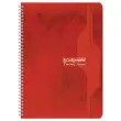 Spiraalschrift - 70g - A4 - Séyès - 100 pagina's - verschillende kleuren - CALLIGRAPHE
