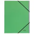 Sorteermap met elastieken - 6 tabbladen- 100% gerecycleerd - groen - LEITZ 