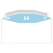 1000 witte MSPA-enveloppen 114X229 ven 45x100 80gr gecoat gerecycled