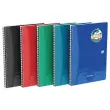 Cahier Oxford Oceanis int A4 180 pagina's 5x5 PP
