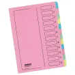 Niet-elastische sorter - versterkte uitrekrug - 12 compartimenten 