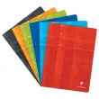 Gepunte schrift 24x32 cm 96 pagina's grote vakken - willekeurige kleur
