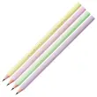 12  Pastel potlood BIC 