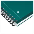 Spiraalnotitieboek A4+, 160p, 5x5, Oxford international Groen