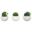 3 kunstmatige vetplanten