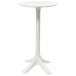STAANDE TAFEL BINNEN / BUITEN WITTE POLYPROPYLEEN