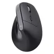 Ergonomische draadloze muis BAYO+ - Zwart
