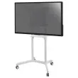 Flip-scherm 75" + Neomounts rolstandaard