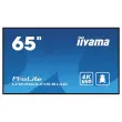 65" IIYAMA scherm + mobiele rolsteun 