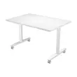 kantelbare tafel op wielen 120x80x74,1 cm wit/wit