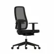 Fauteuil PAUL met 1D armleuningen