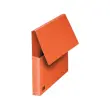 10 Mappen in felle kleuren - Set van 10 - Rood - OXFORD