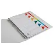 Tabbladen FIDUCIAL- A4 - 6 geplastificeerde tabs - Stevig karton