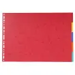 Set tabbladen - A3 liggend - 42x29.7 cm - 5 tabs