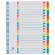 Tabbladen FIDUCIAL A4+ versterkt karton- 20 geplastificeeerde tabs