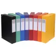 10 Cartobox opbergdozen - Rug 6 cm - Assorti - EXACOMPTA