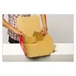 Doos voor postverzendingen - L 25,5 x B 18,5 x H 8,5 cm