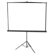 Wandprojectie scherm op voet 180x180 cm 
