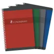 Spiraalschrift - 14,8x21 cm -5x5 - 70g - 180 pagina's - CONQUERANT 