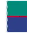 Spiraalschrift - 14,8x21 cm -5x5 - 70g - 180 pagina's - CONQUERANT 
