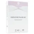 Pak van 500 vellen A3 pastel gekleurdpapier Executive Clrs FIDUCIAL